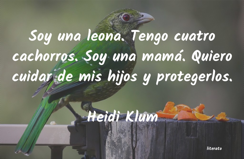 Frases de Heidi Klum