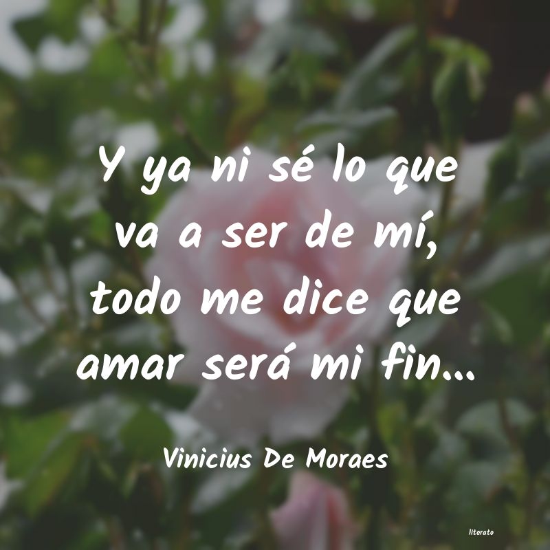 frases de Vinicius De Moraes