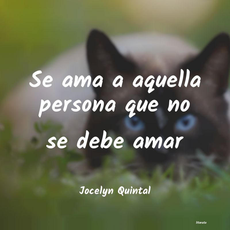 Frases de Jocelyn Quintal