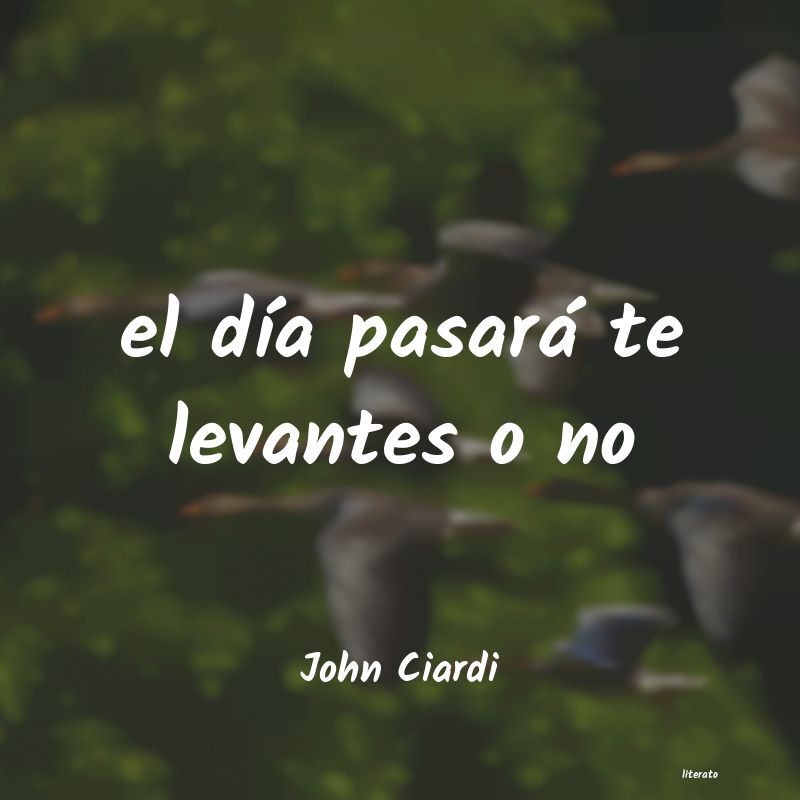 frases de John Ciardi