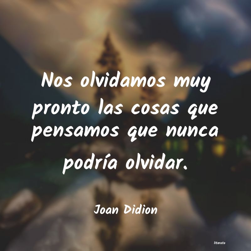 frases de Joan Didion