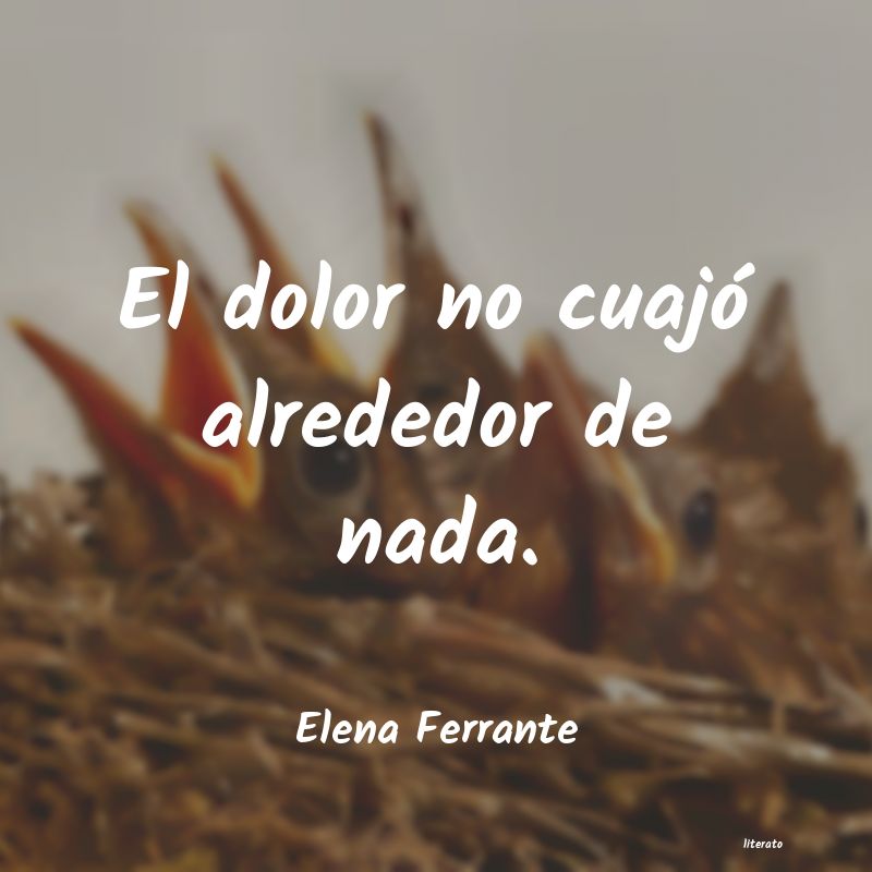 Frases de Elena Ferrante