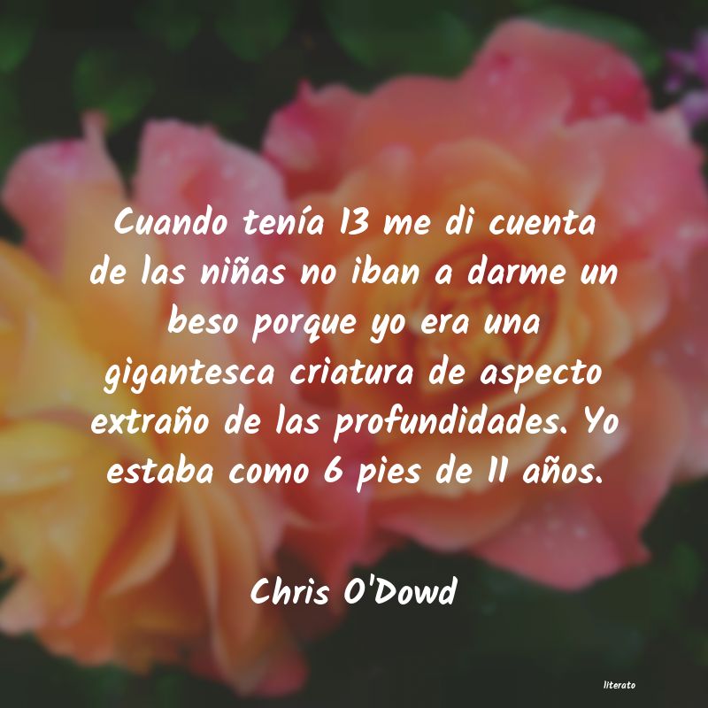 frases de Chris O'Dowd