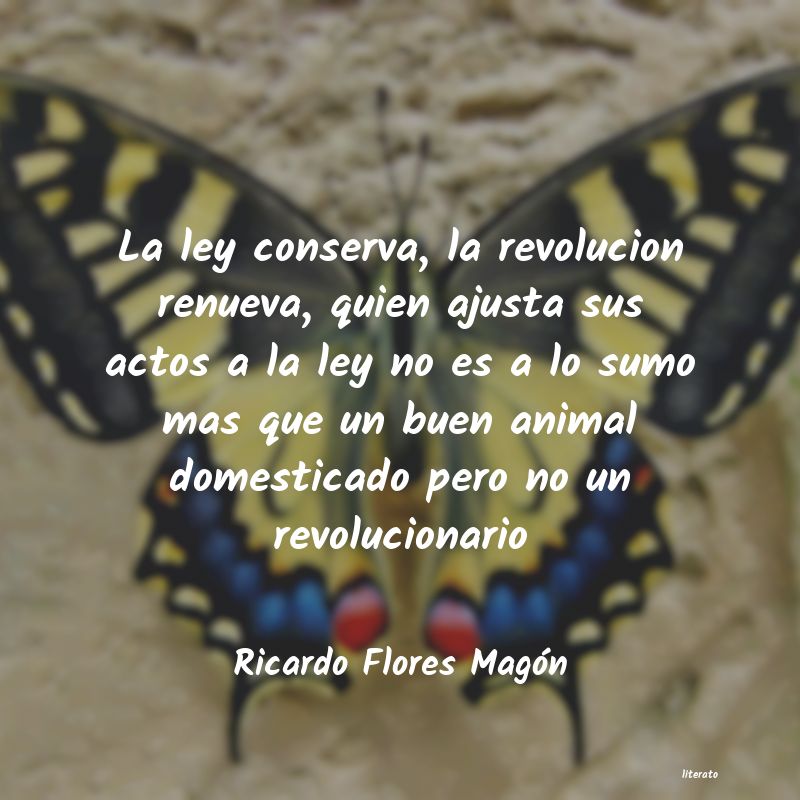 Frases de Ricardo Flores Magón