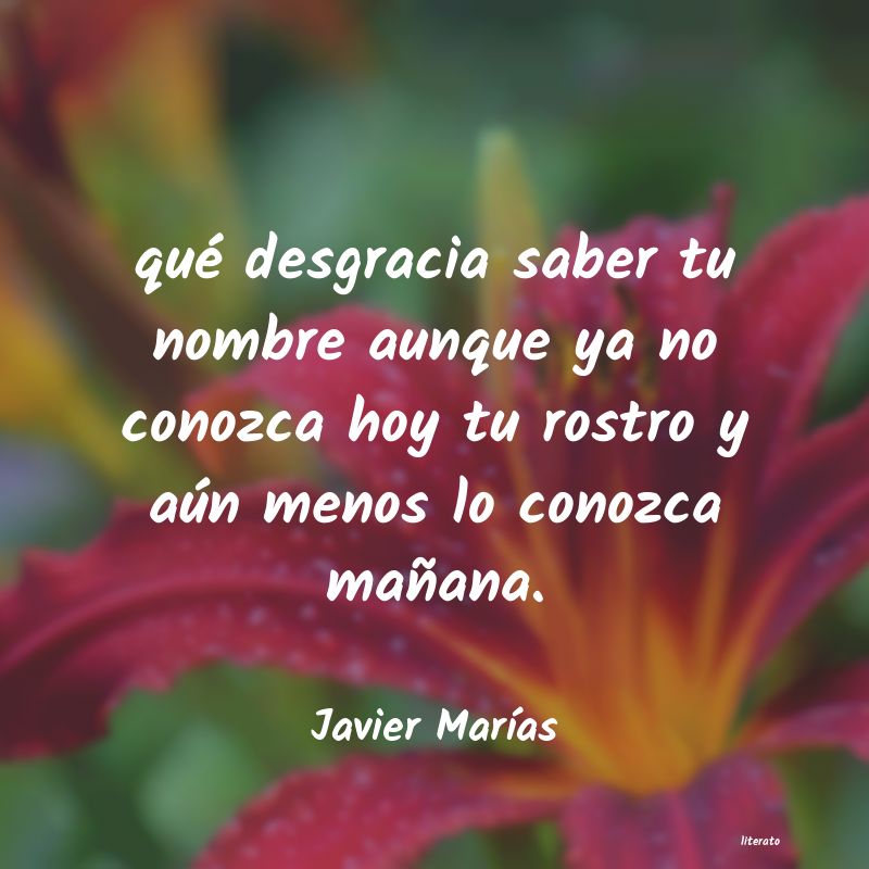 frases de Javier MarÃas