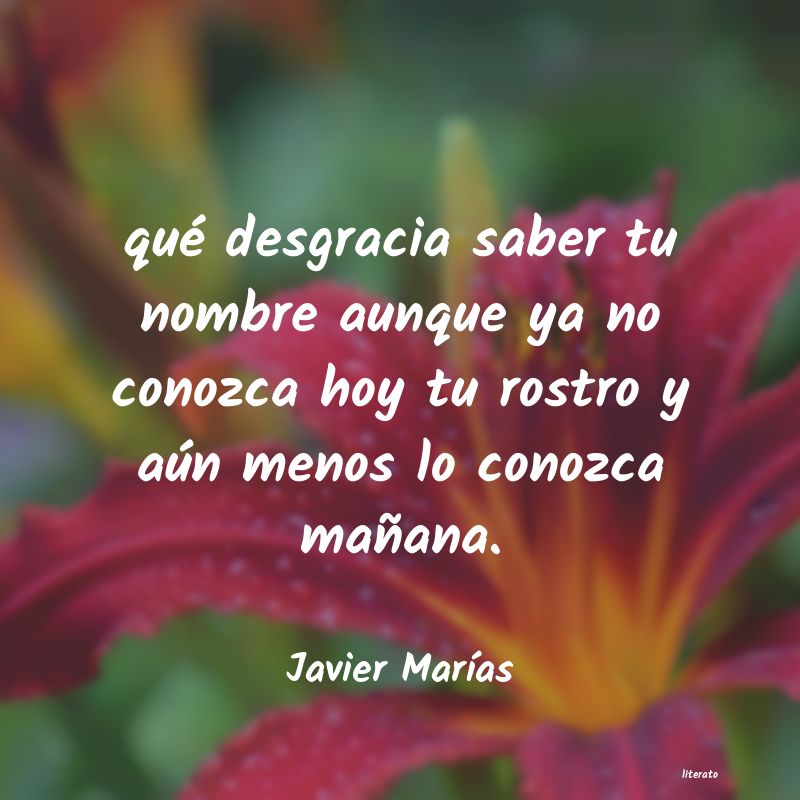 Frases de Javier Marías