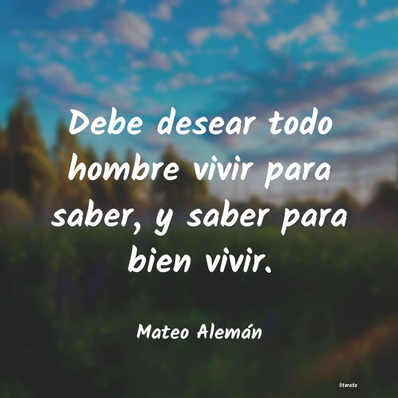 Frases de mateo aleman - literato