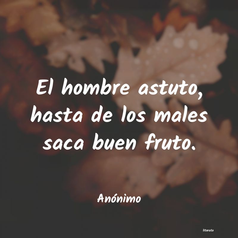 Frases de 