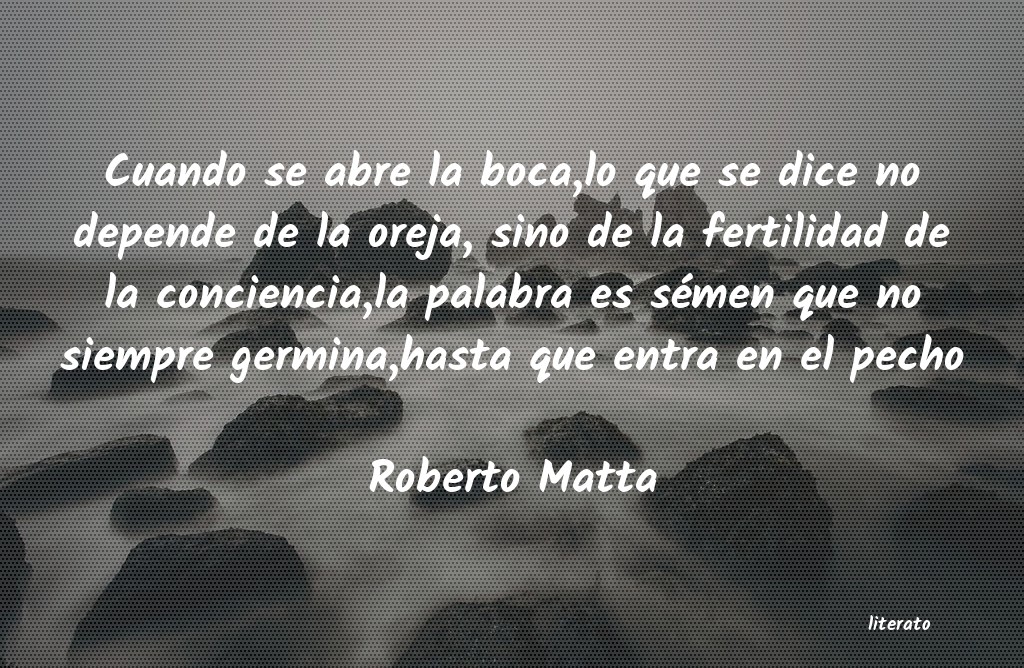 Frases de Roberto Matta