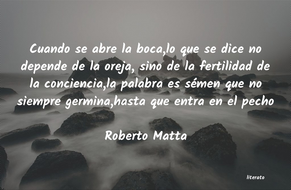 frases de Roberto Matta