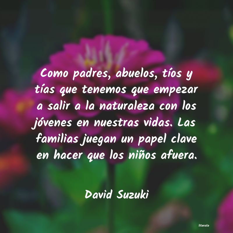 Frases de David Suzuki