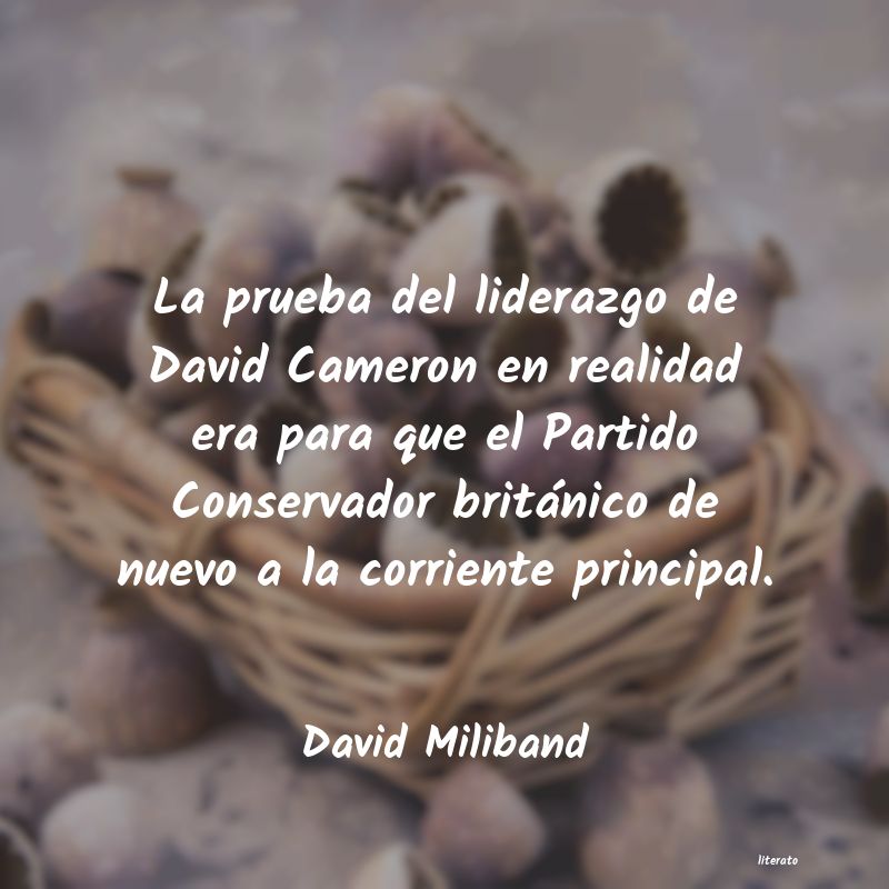 frases de David Miliband