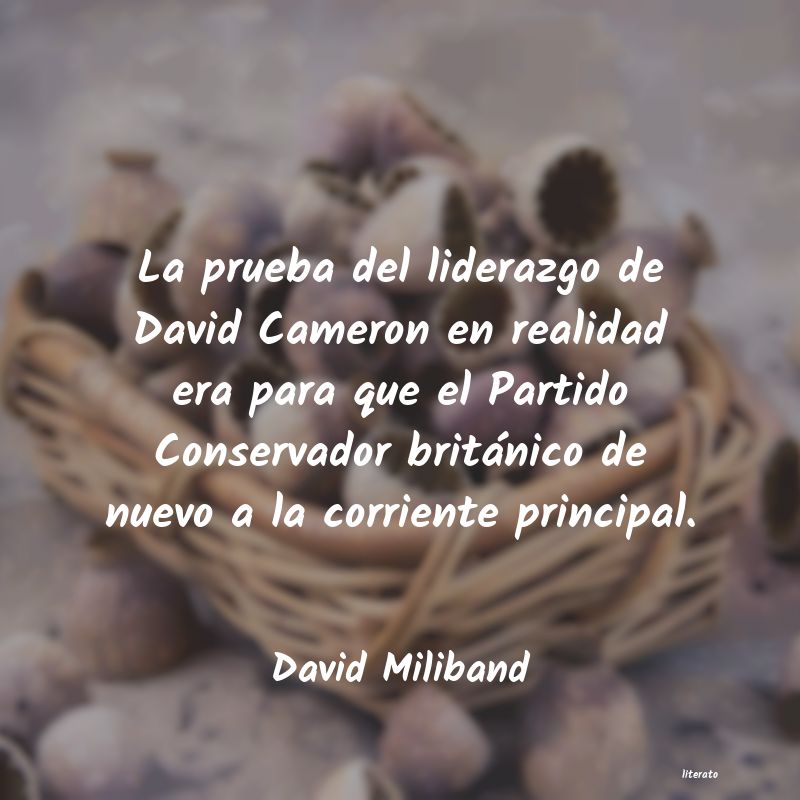 Frases de David Miliband