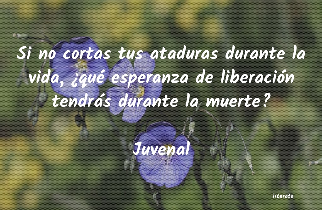 Frases de Juvenal