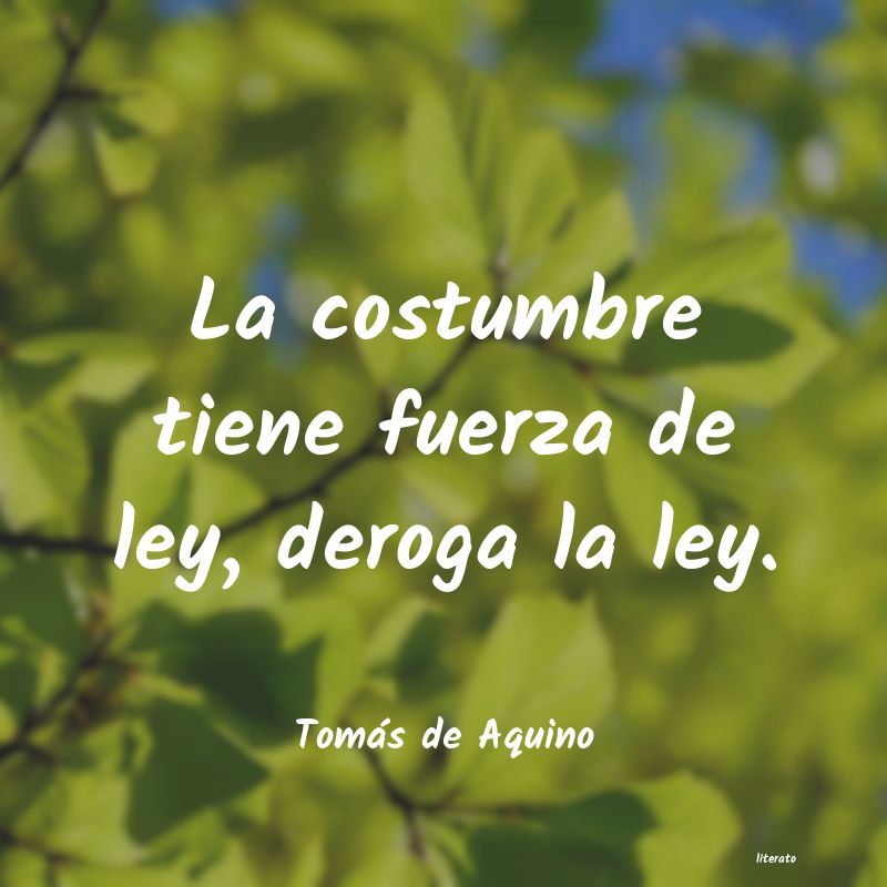 Frases de Tomás de Aquino