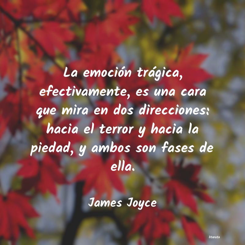 Frases de James Joyce