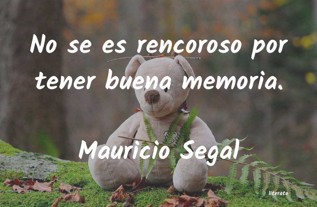 frases de Mauricio Segal