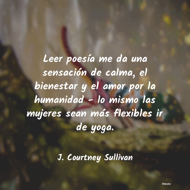 Frases de J. Courtney Sullivan