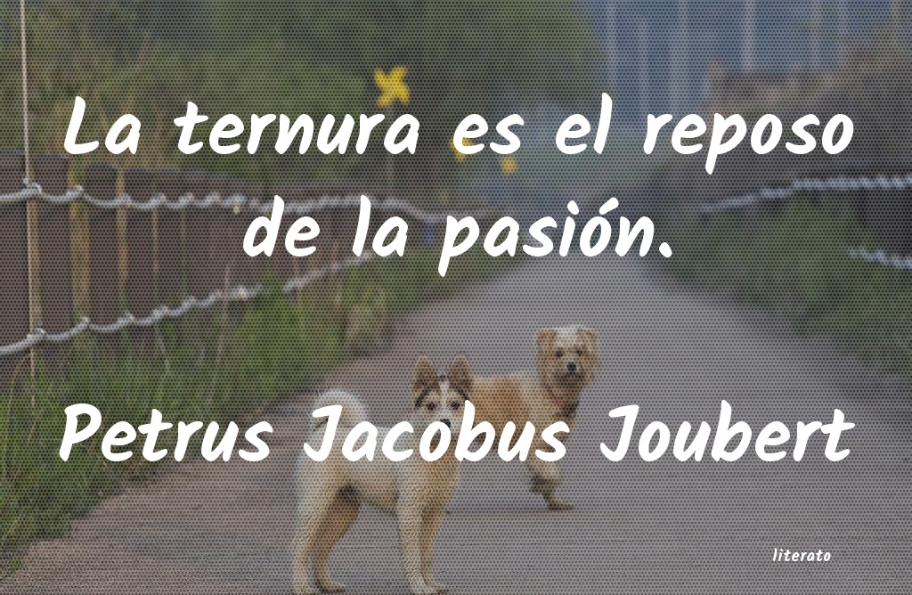 frases de Petrus Jacobus Joubert