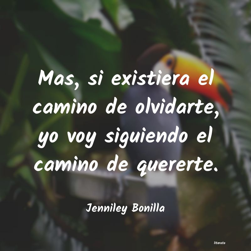 Frases de Jenniley Bonilla