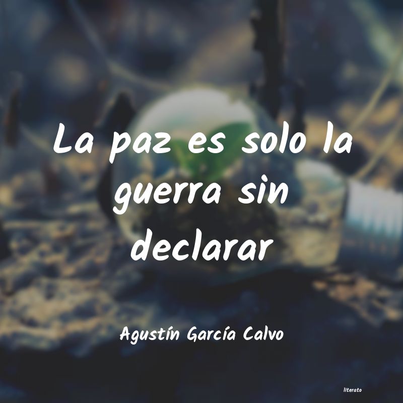 Frases de Agustín García Calvo