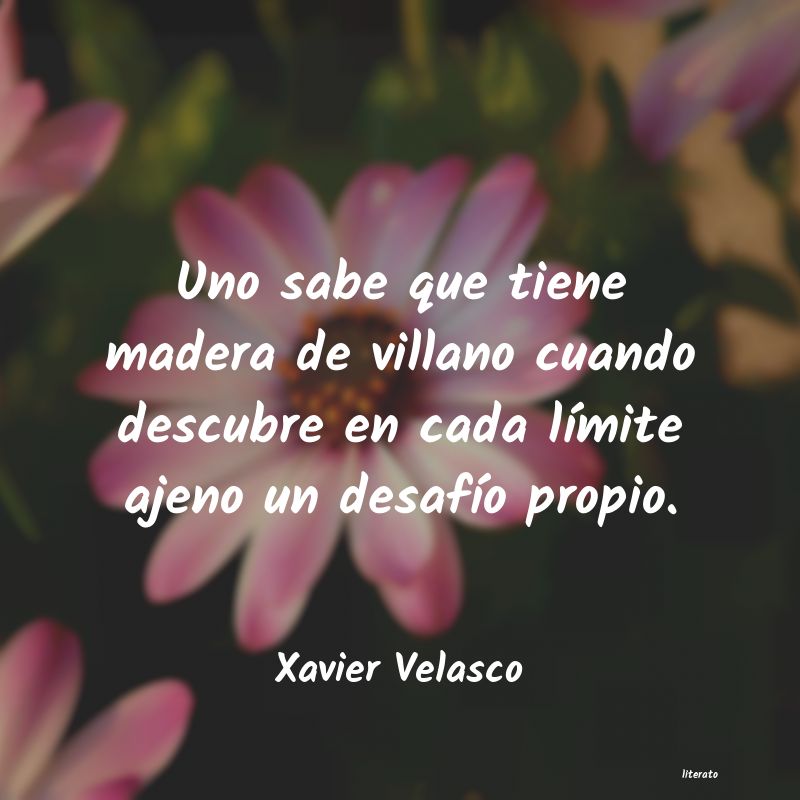 Frases de Xavier Velasco