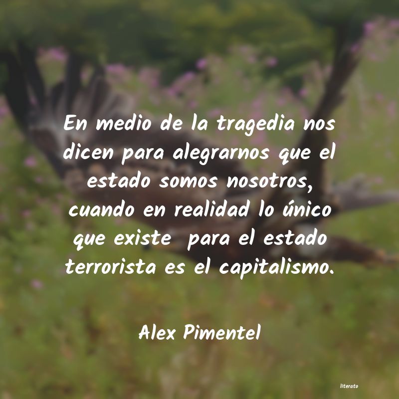 Frases de Alex Pimentel