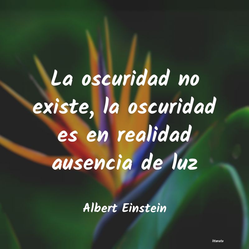 frases de Albert Einstein