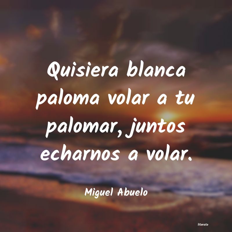 Frases de Miguel Abuelo