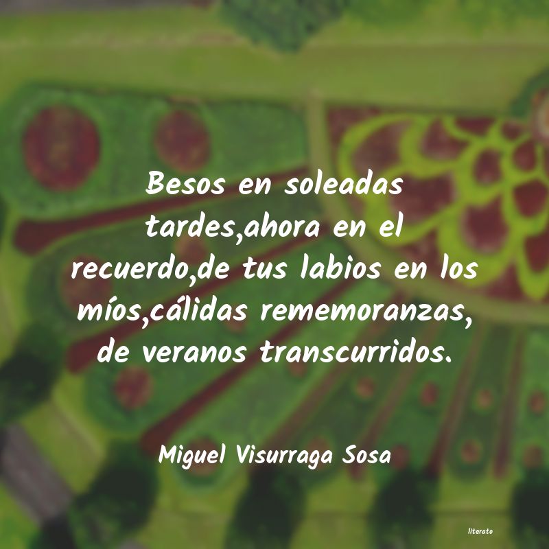 frases de Miguel Visurraga Sosa