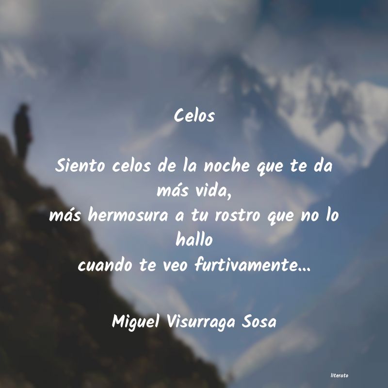 Frases de Miguel Visurraga Sosa