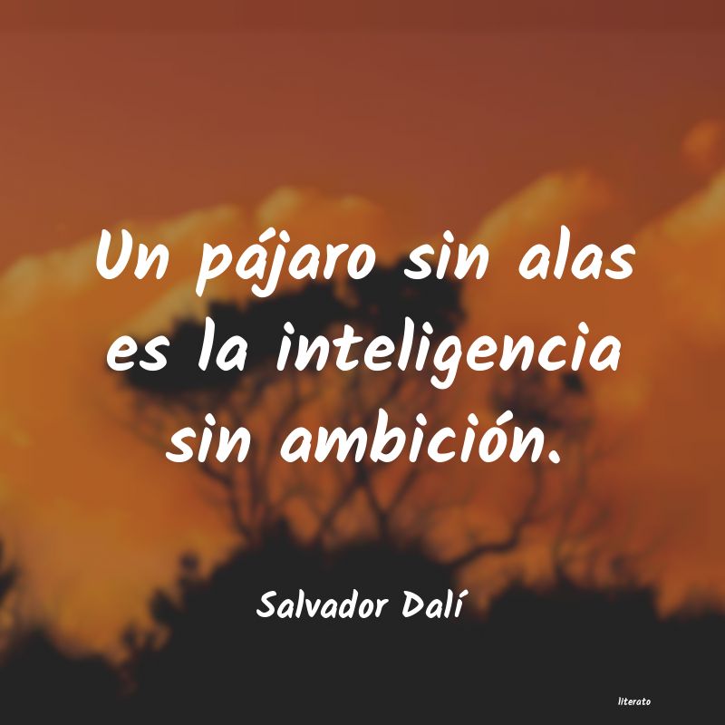 Frases de Salvador Dalí