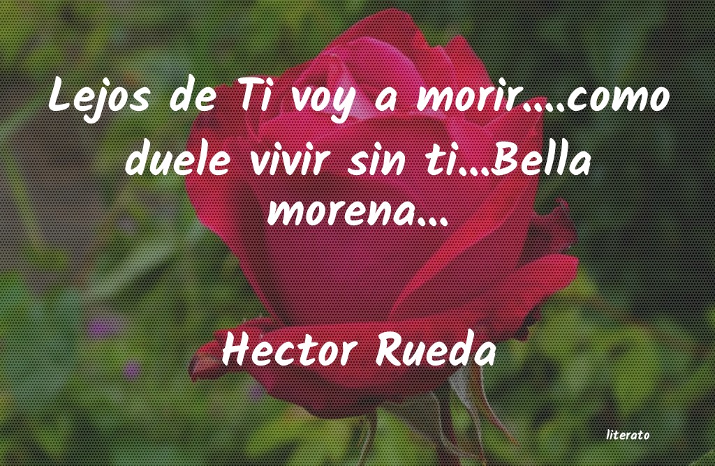 frases de Hector Rueda