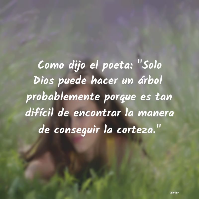 Frases de
