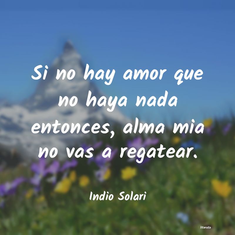 Frases de Indio Solari