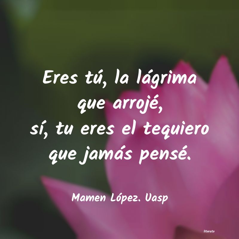 Frases de Mamen López. Uasp