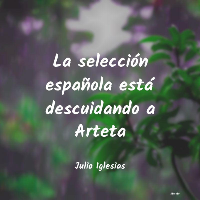 Frases de Julio Iglesias