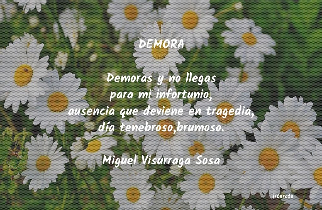 frases de Miguel Visurraga Sosa