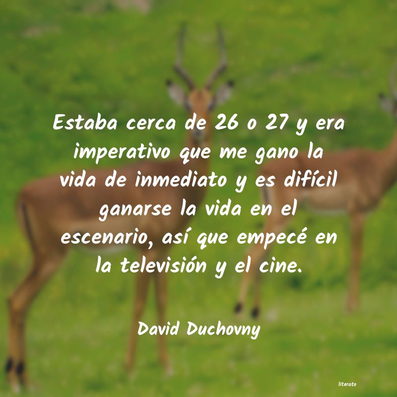frases de David Duchovny