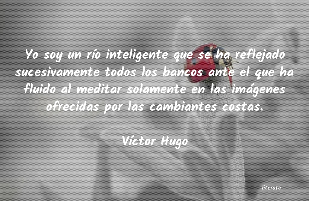 lagrimas con victor hugo