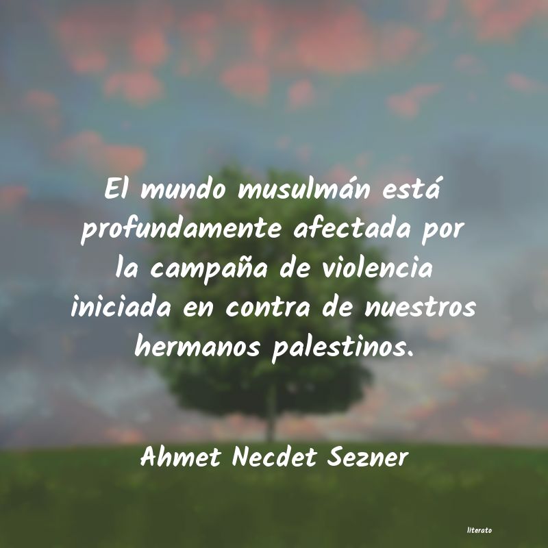 Frases de Ahmet Necdet Sezner