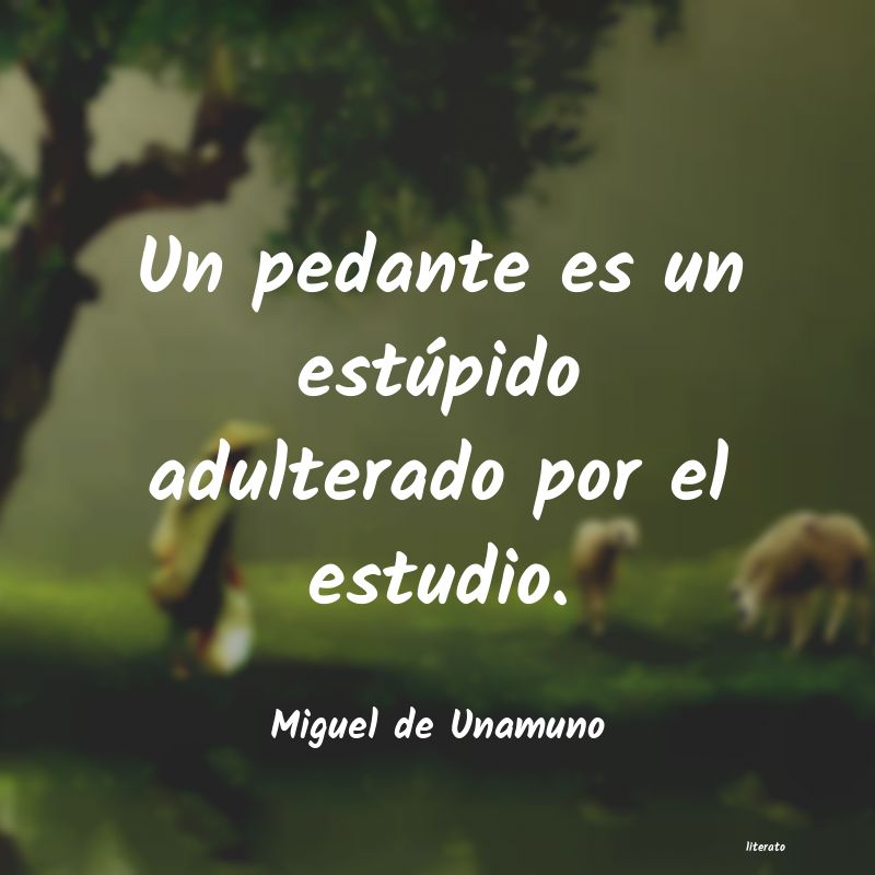 Frases de Miguel de Unamuno