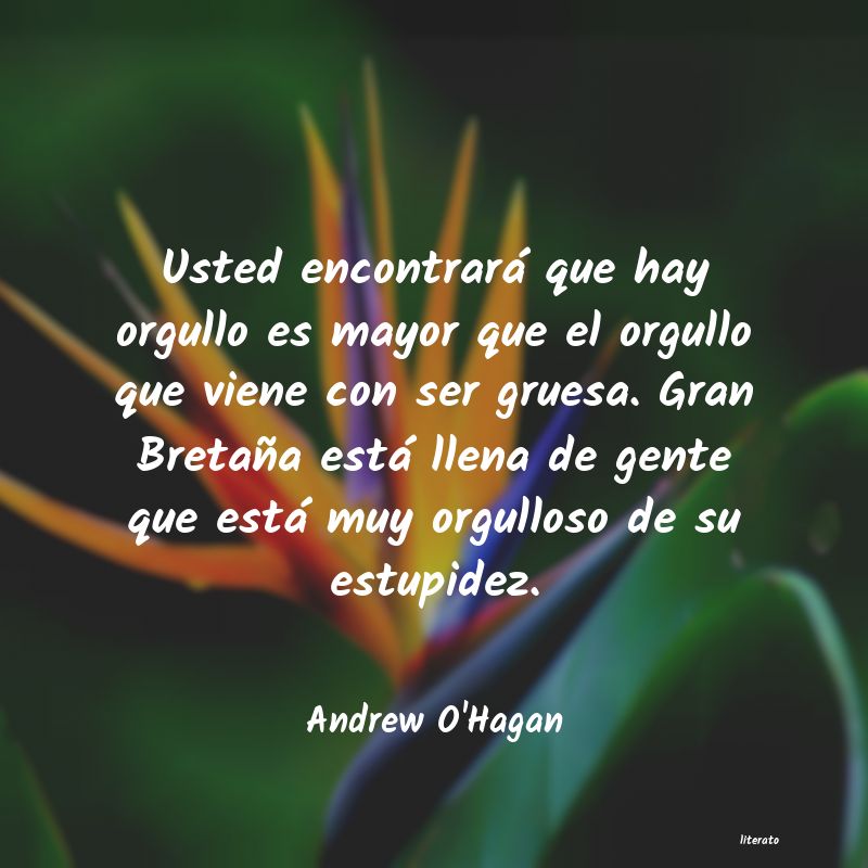 Frases de Andrew O'Hagan