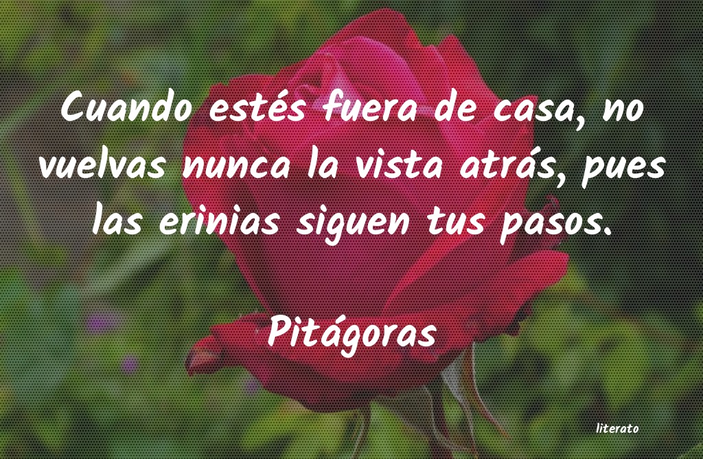 Frases de Pitágoras