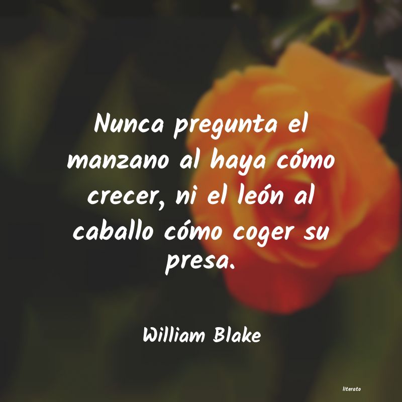 Frases de William Blake