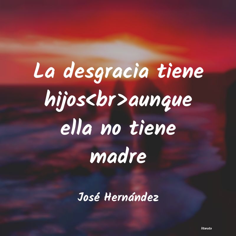 frases de José Hernández