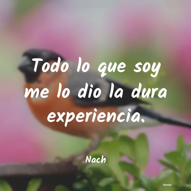 Frases de Nach