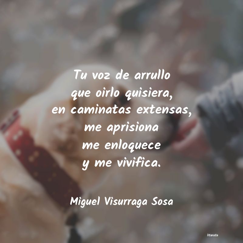 Frases de Miguel Visurraga Sosa