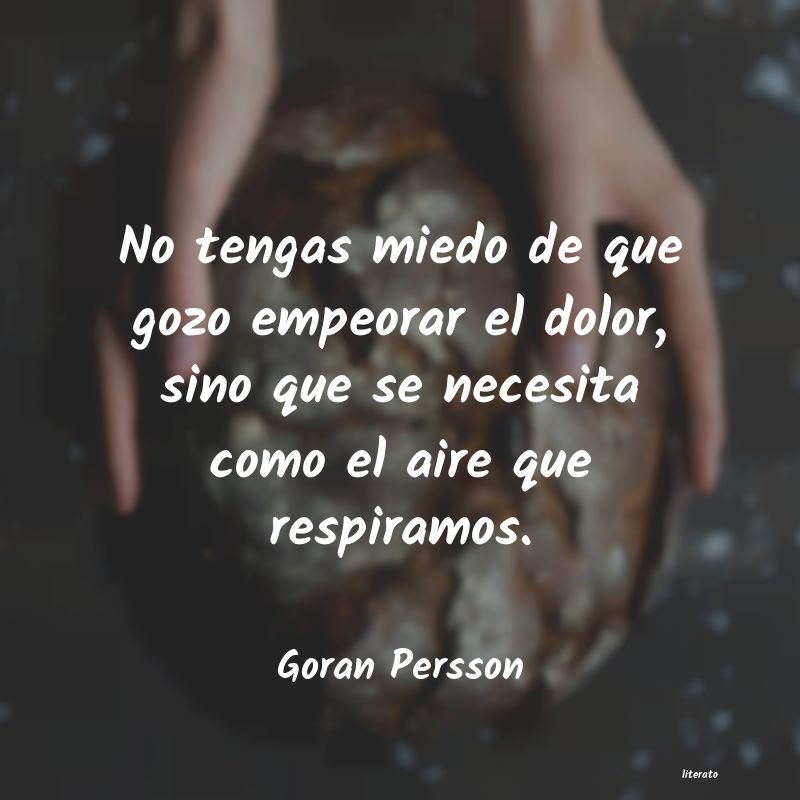 Frases de Goran Persson