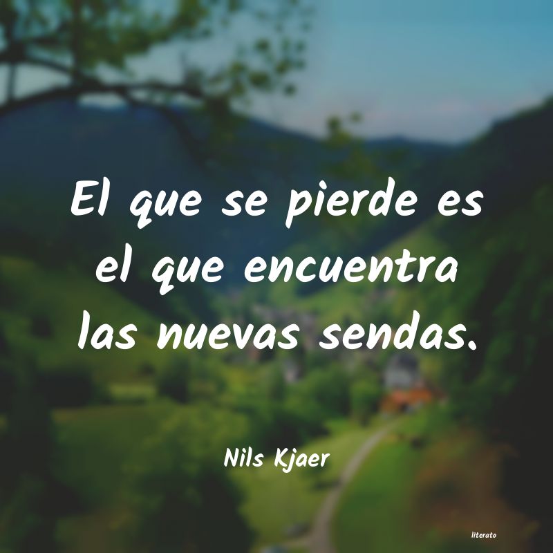 frases de Nils Kjaer